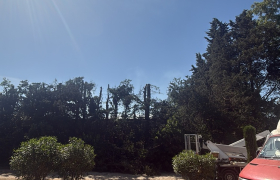 Nîmes (30000)