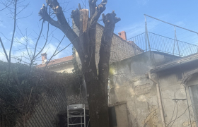 Nîmes (30000)